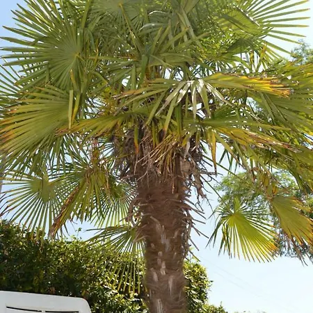 Holiday home Les Rossignal *